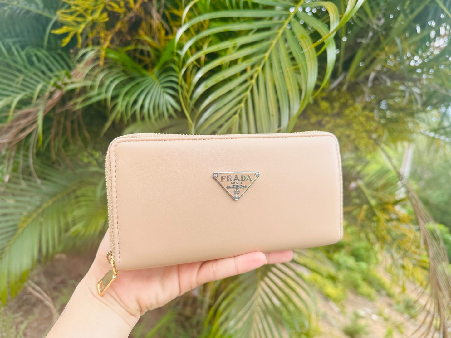 Peanut wallet