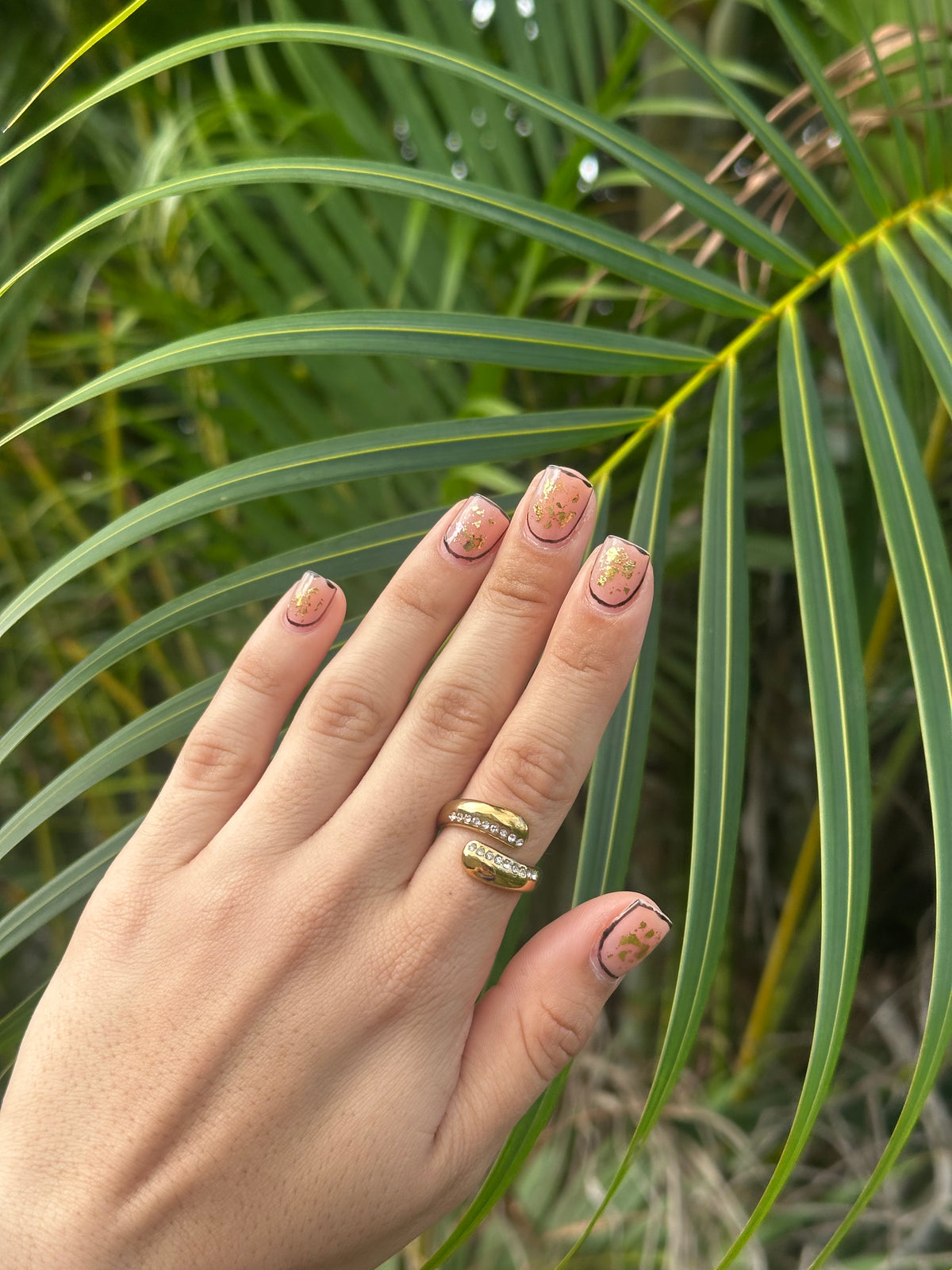 Pole Ring