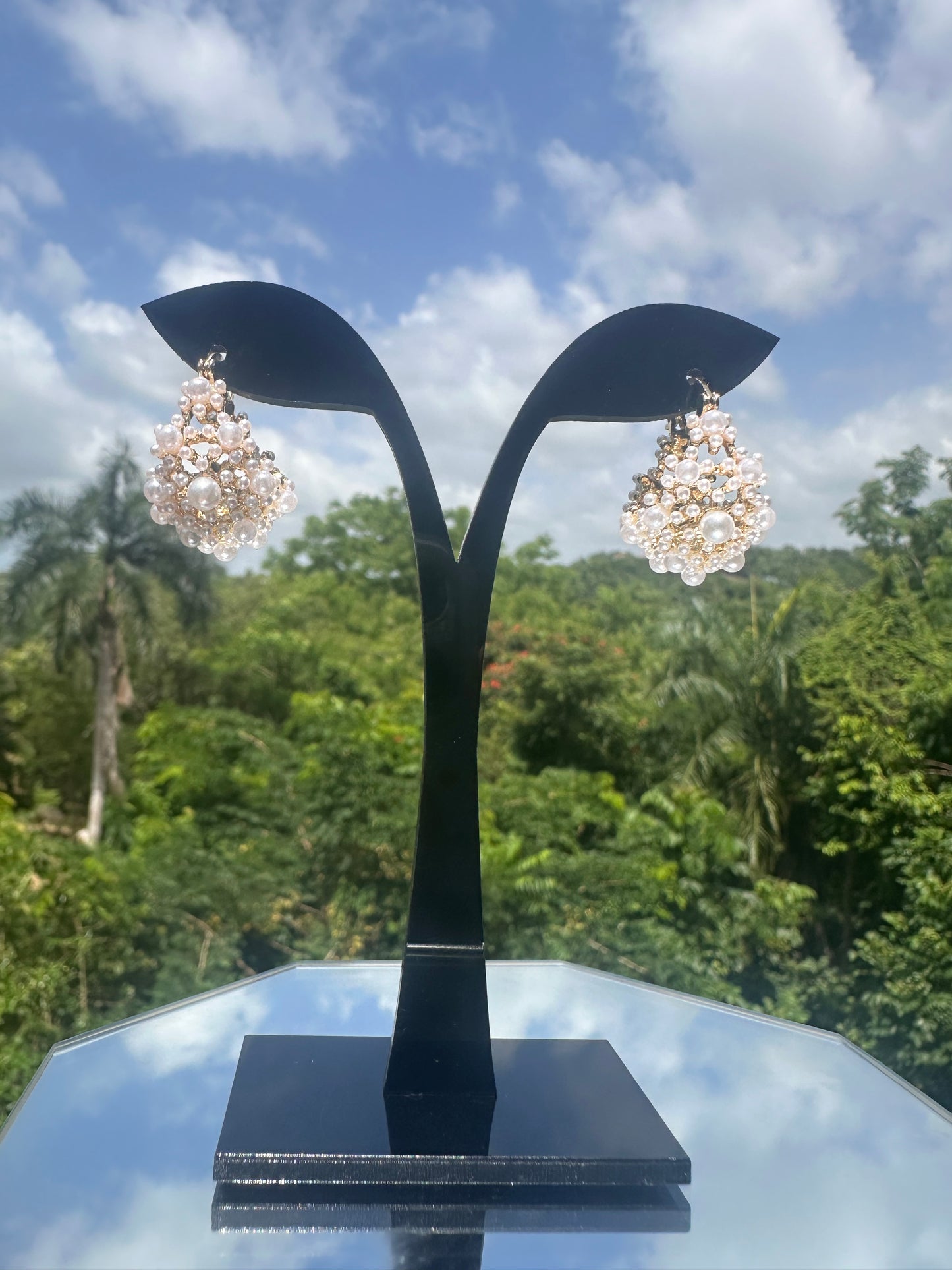 Titanic Earrings