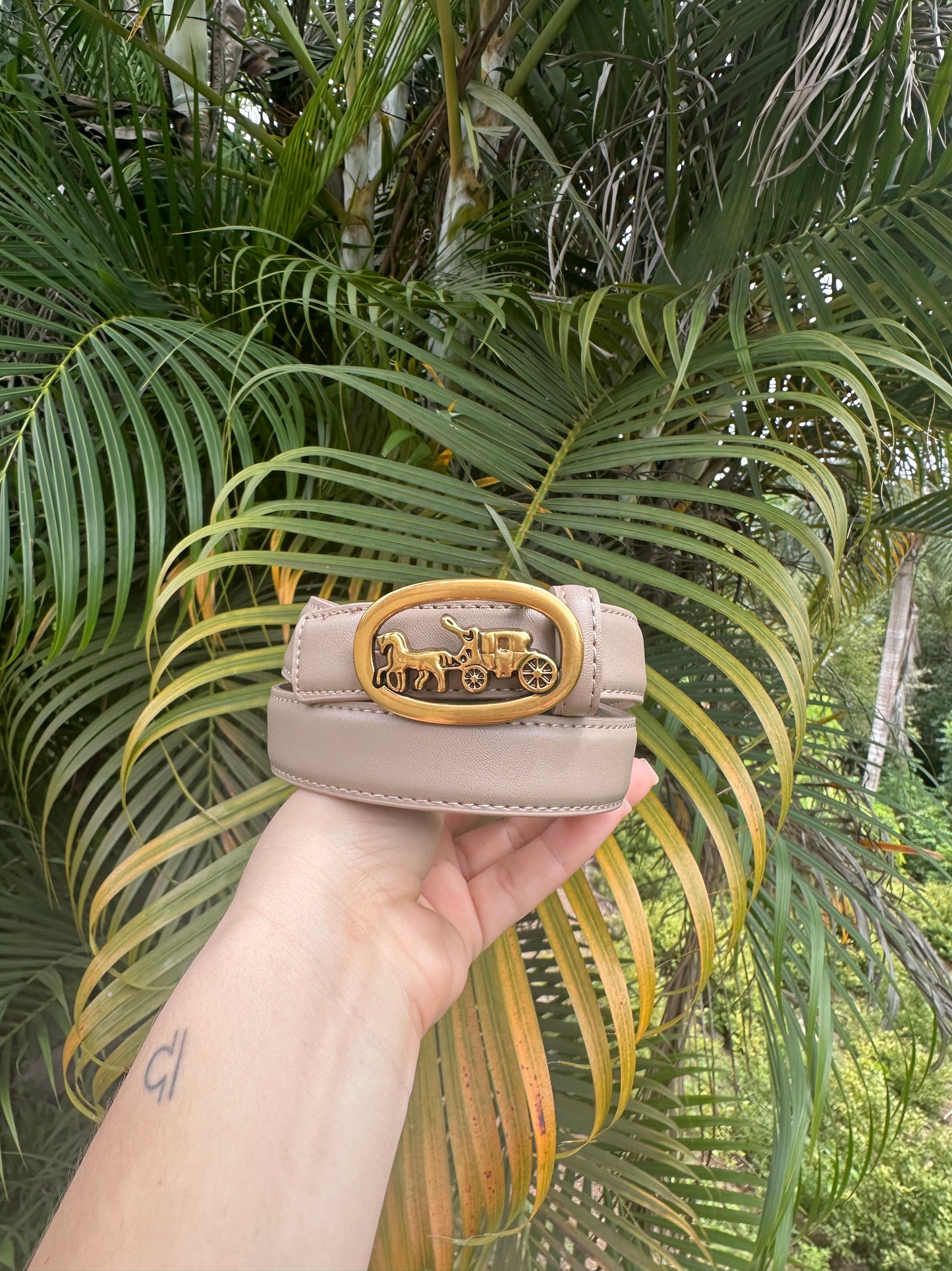Luna Belt