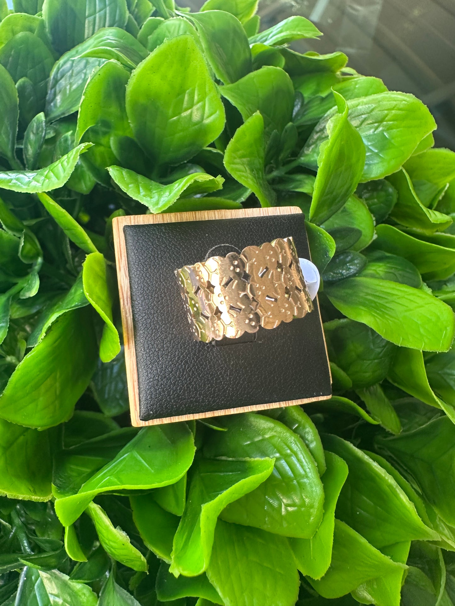 Bears Ring