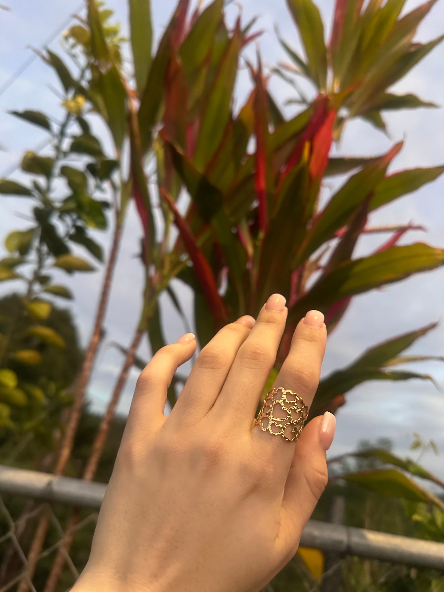Hearts ring