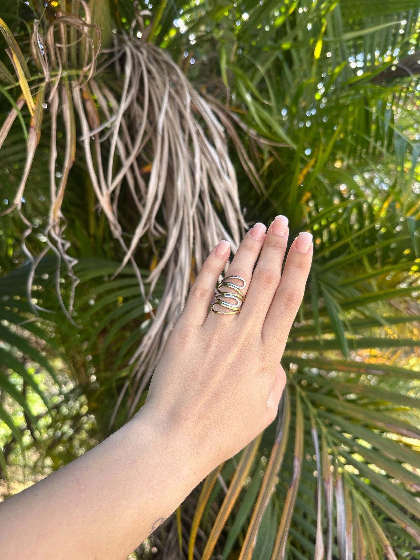 Big Ring
