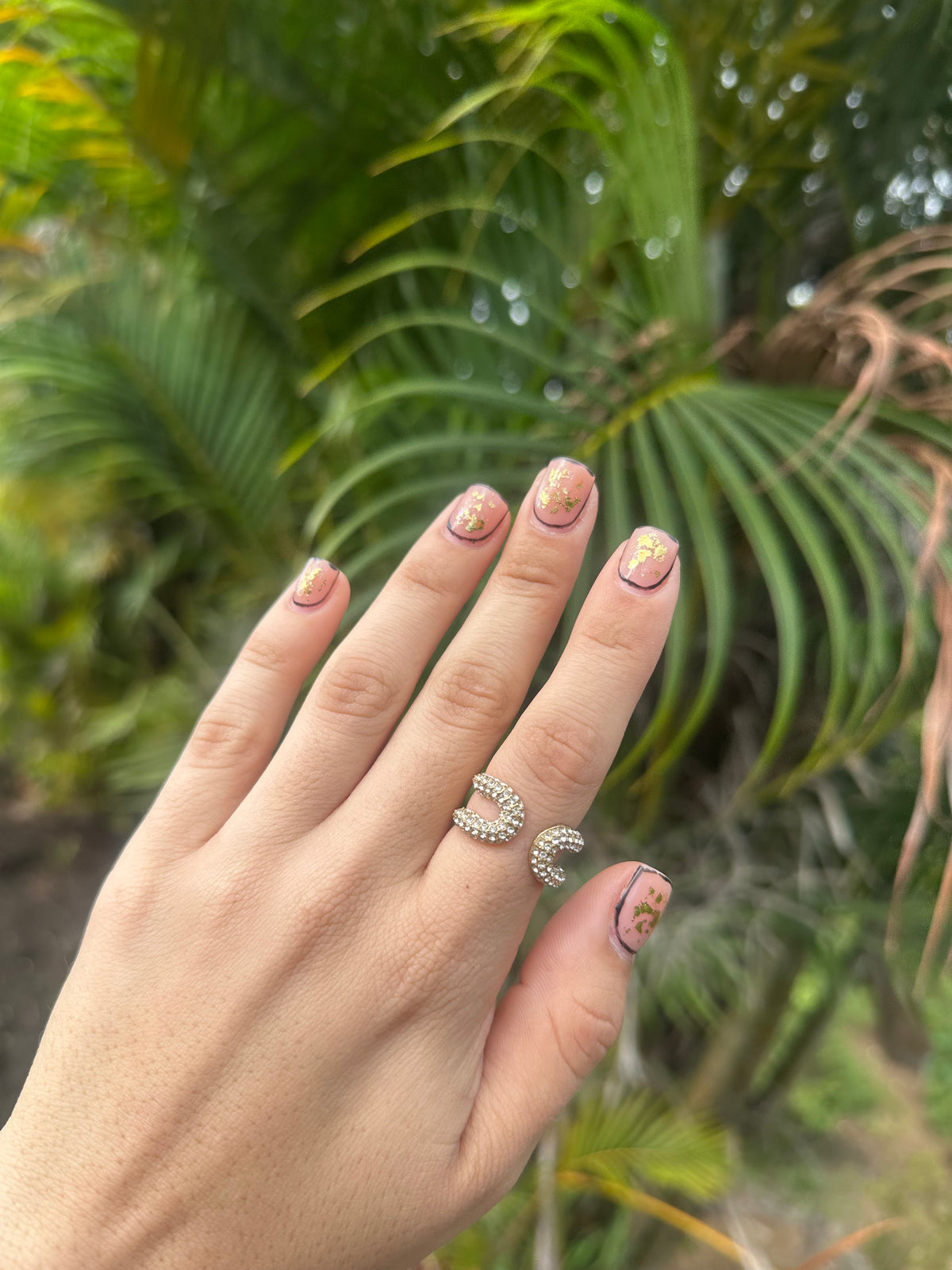 Encuentro Ring