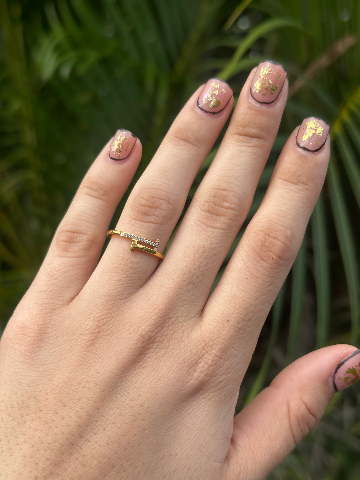 Hide Ring