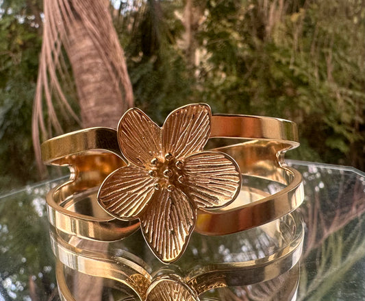Ivi Bangle