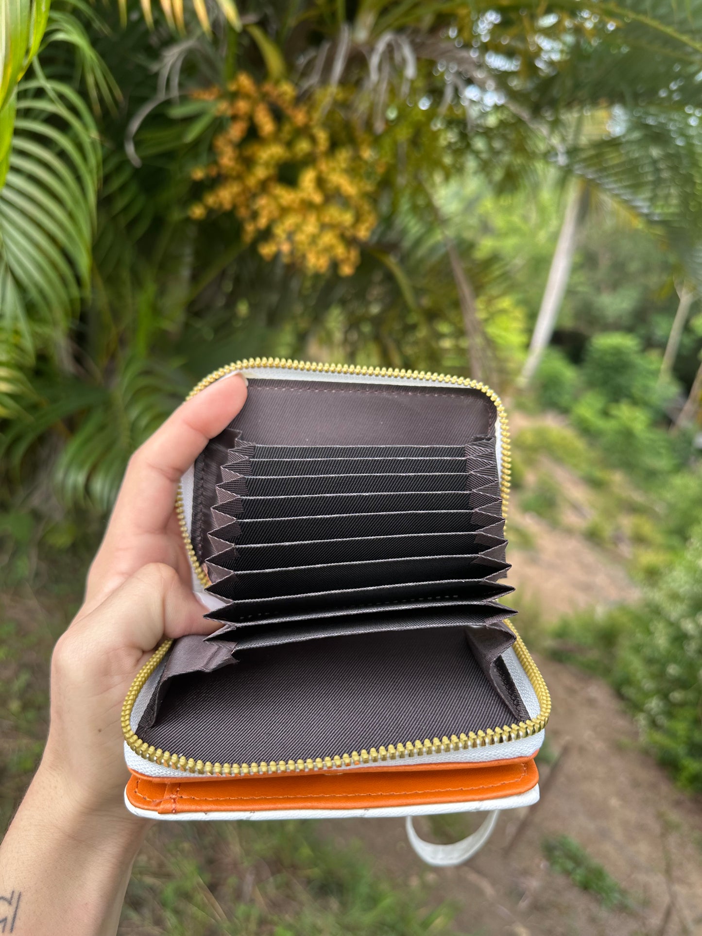 Cloud wallet