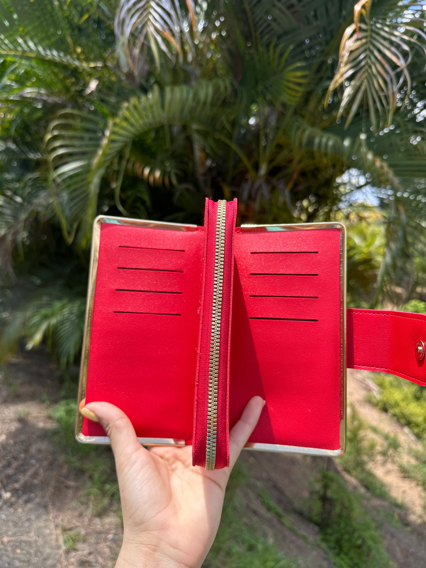 Apple Wallet
