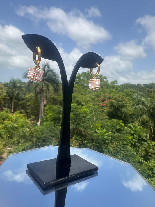 Given Earrings